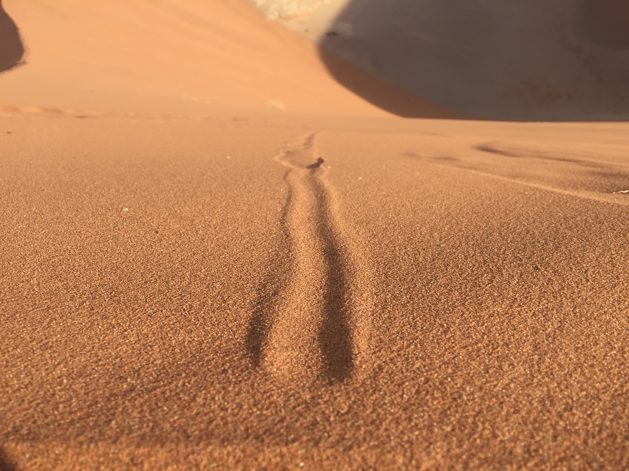 [15712] 2016_06_25_08_32_20_Africa_iPhone_6_IMG_8220_00205.jpg