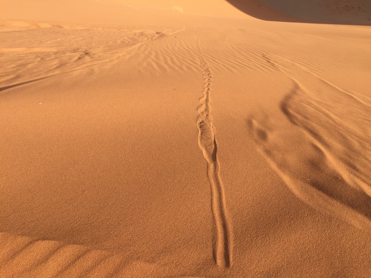 [15716] 2016_06_25_08_32_39_Africa_iPhone_6_IMG_8221_00788.jpg