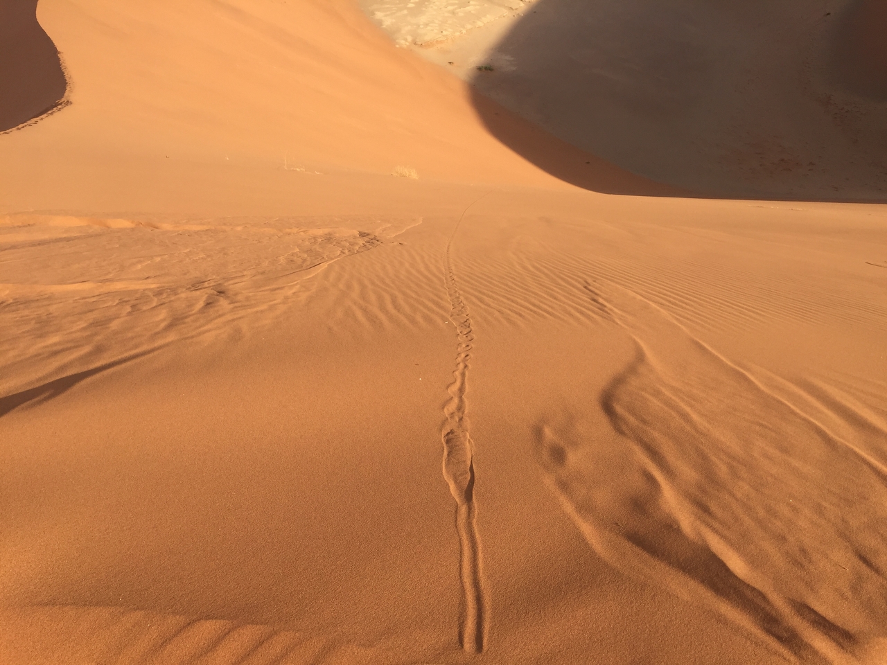 [15720] 2016_06_25_08_32_51_Africa_iPhone_6_IMG_8222_03130.jpg