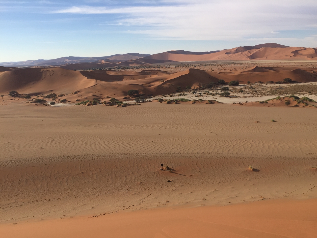 [15752] 2016_06_25_08_43_39_Africa_iPhone_6_IMG_8241_00800.jpg