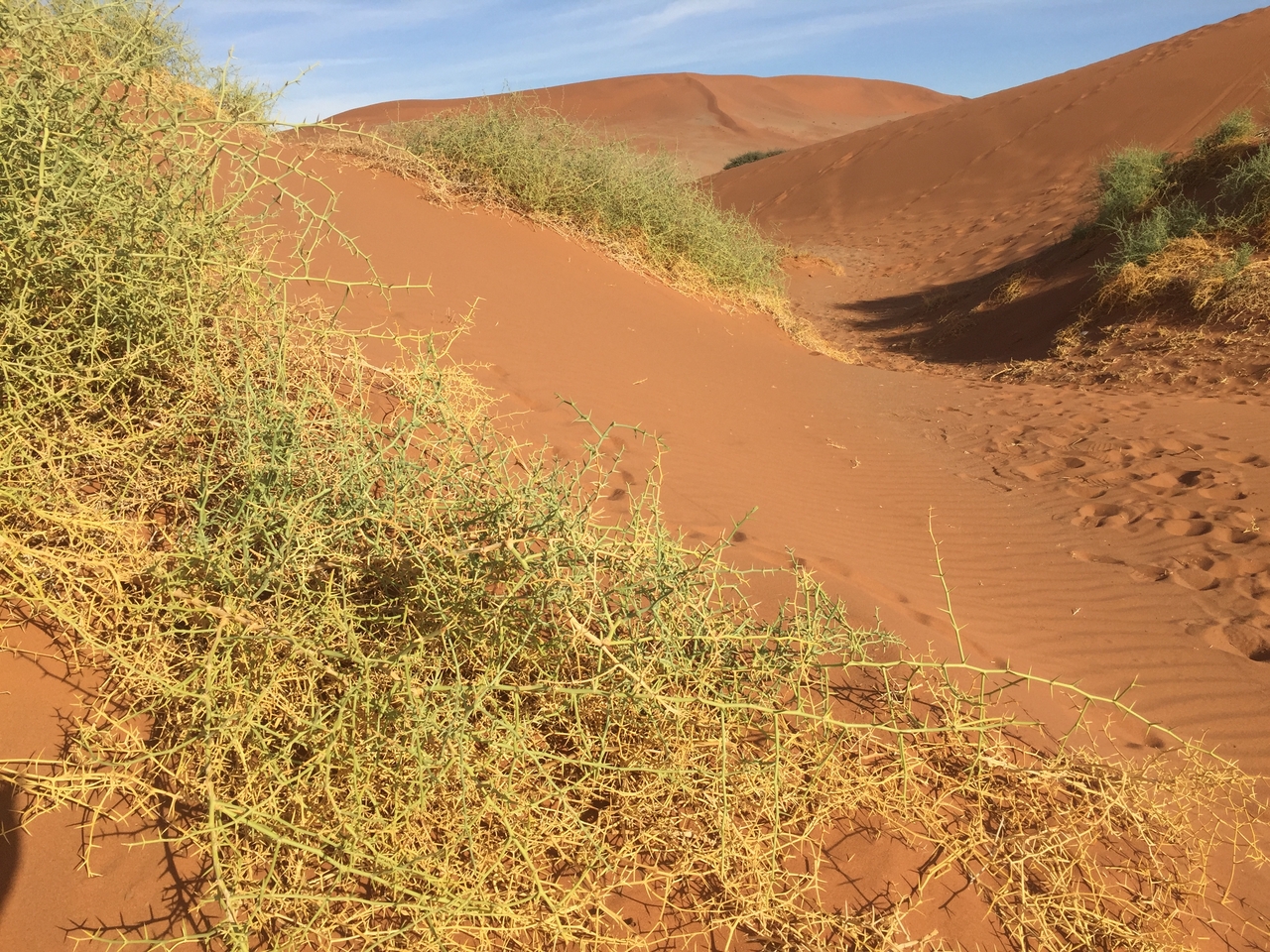 [15769] 2016_06_25_08_56_08_Africa_iPhone_6_IMG_8250_00224.jpg