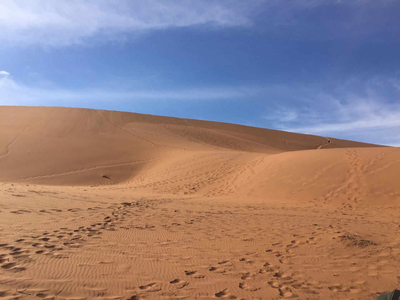 [15979] 2016_06_25_09_41_18_Africa_iPhone_6_IMG_8253_03150.jpg