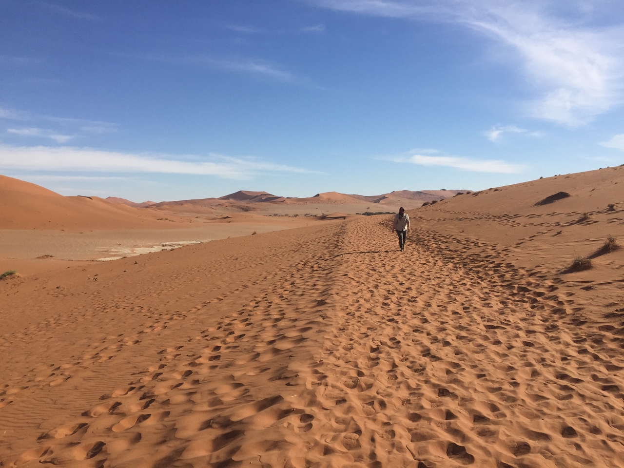 [15982] 2016_06_25_09_41_33_Africa_iPhone_6_IMG_8254_03151.jpg