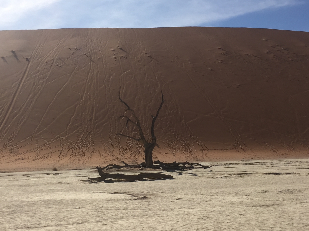 [16029] 2016_06_25_09_52_26_Africa_iPhone_6_IMG_8260_03157.jpg