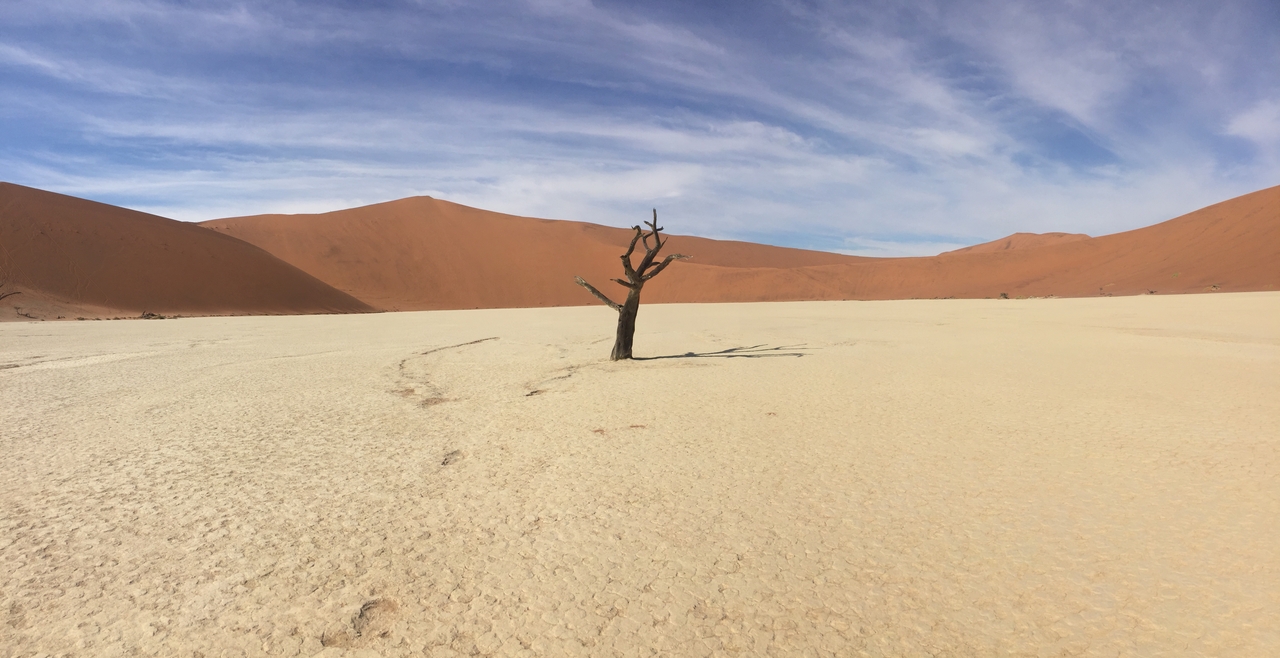 [16110] 2016_06_25_09_58_52_Africa_iPhone_6_IMG_8270_03167.jpg