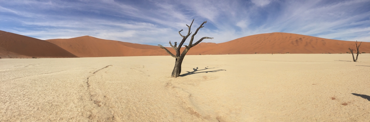 [16123] 2016_06_25_09_59_43_Africa_iPhone_6_IMG_8272_00828.jpg