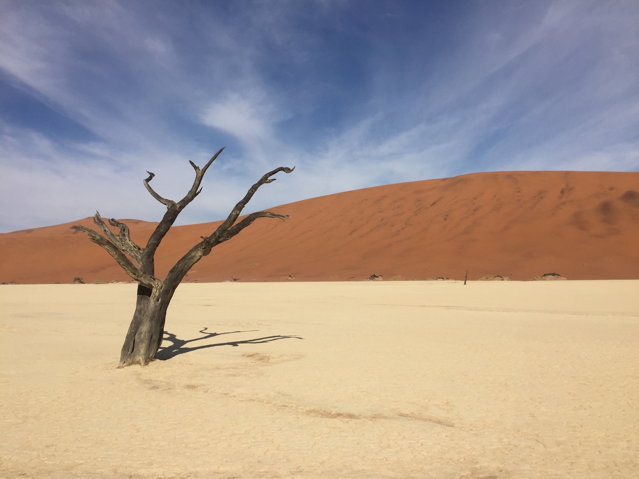 [16172] 2016_06_25_10_04_17_Africa_iPhone_6_IMG_8285_03182.jpg