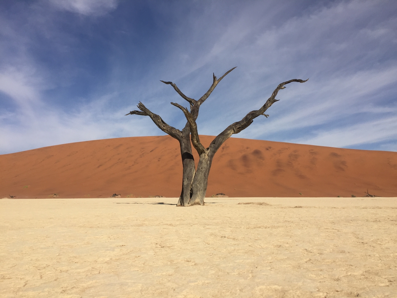 [16173] 2016_06_25_10_04_30_Africa_iPhone_6_IMG_8286_00260.jpg