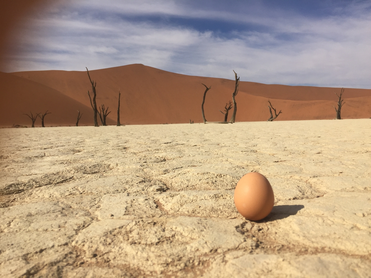 [16211] 2016_06_25_10_20_25_Africa_iPhone_6_IMG_8296_03193.jpg