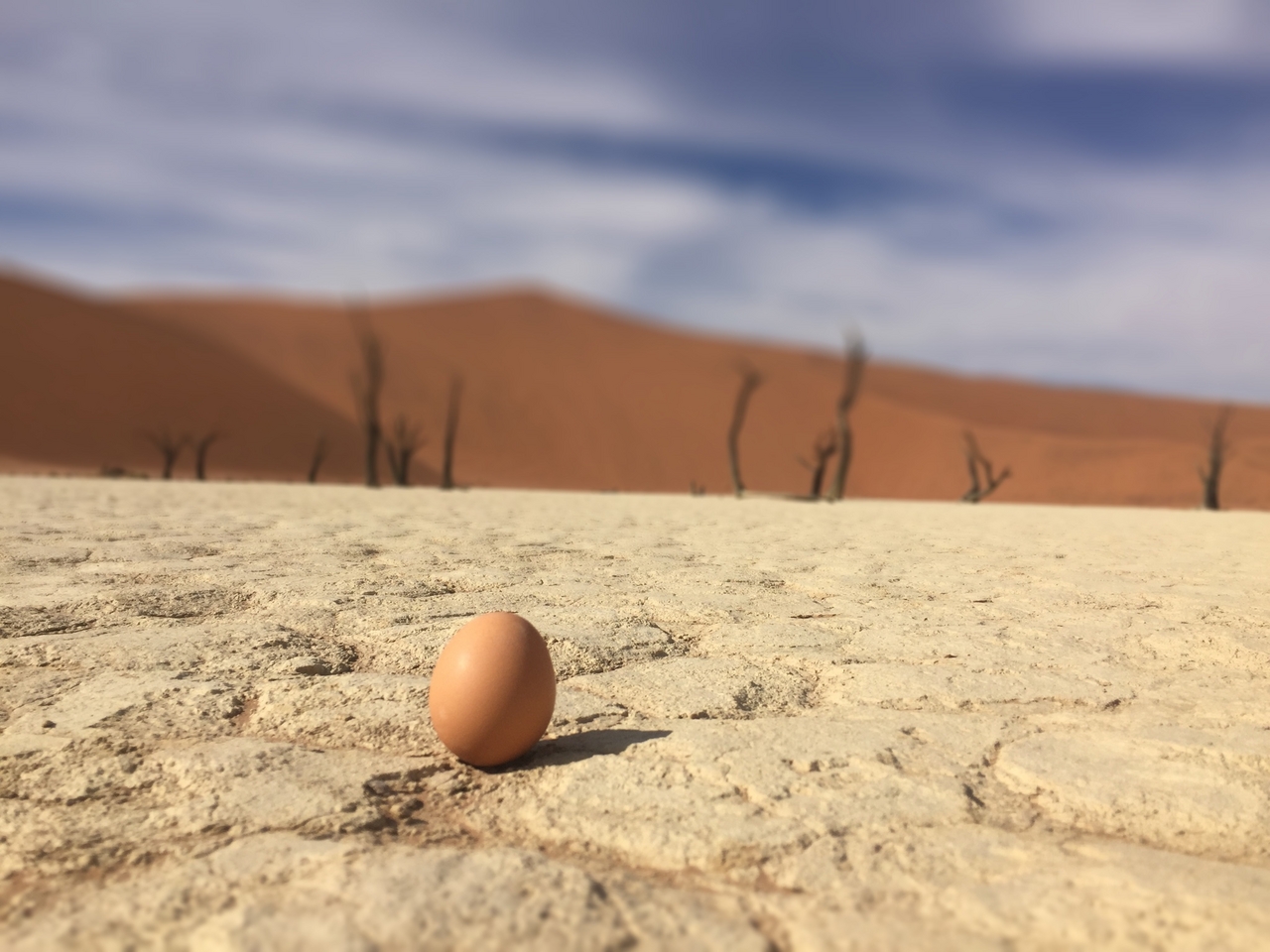 [16216] 2016_06_25_10_20_44_Africa_iPhone_6_IMG_8353_00903.jpg