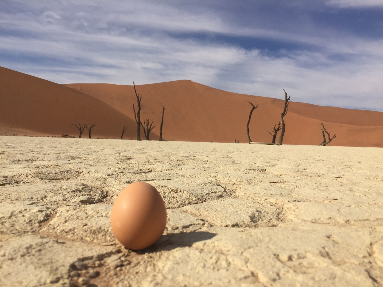 [16218] 2016_06_25_10_20_50_Africa_iPhone_6_IMG_8298_00272.jpg