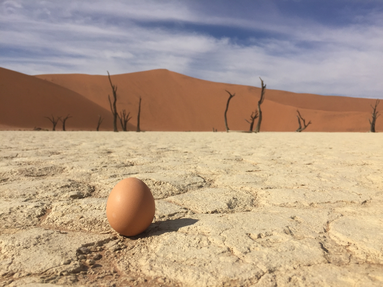 [16224] 2016_06_25_10_21_20_Africa_iPhone_6_IMG_8299_00855.jpg