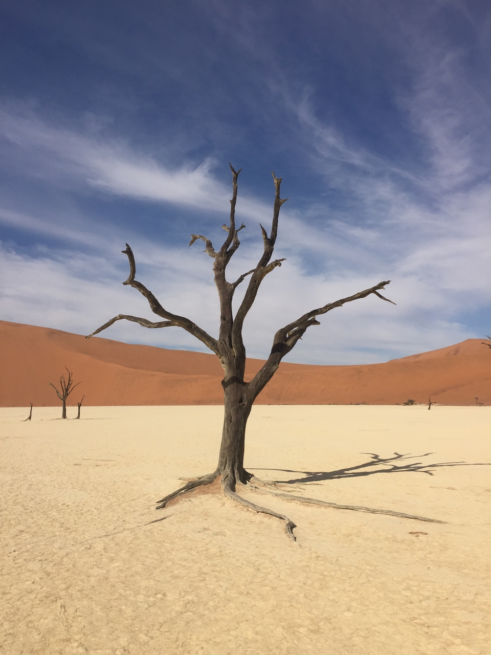 [16230] 2016_06_25_10_22_31_Africa_iPhone_6_IMG_8300_03197.jpg