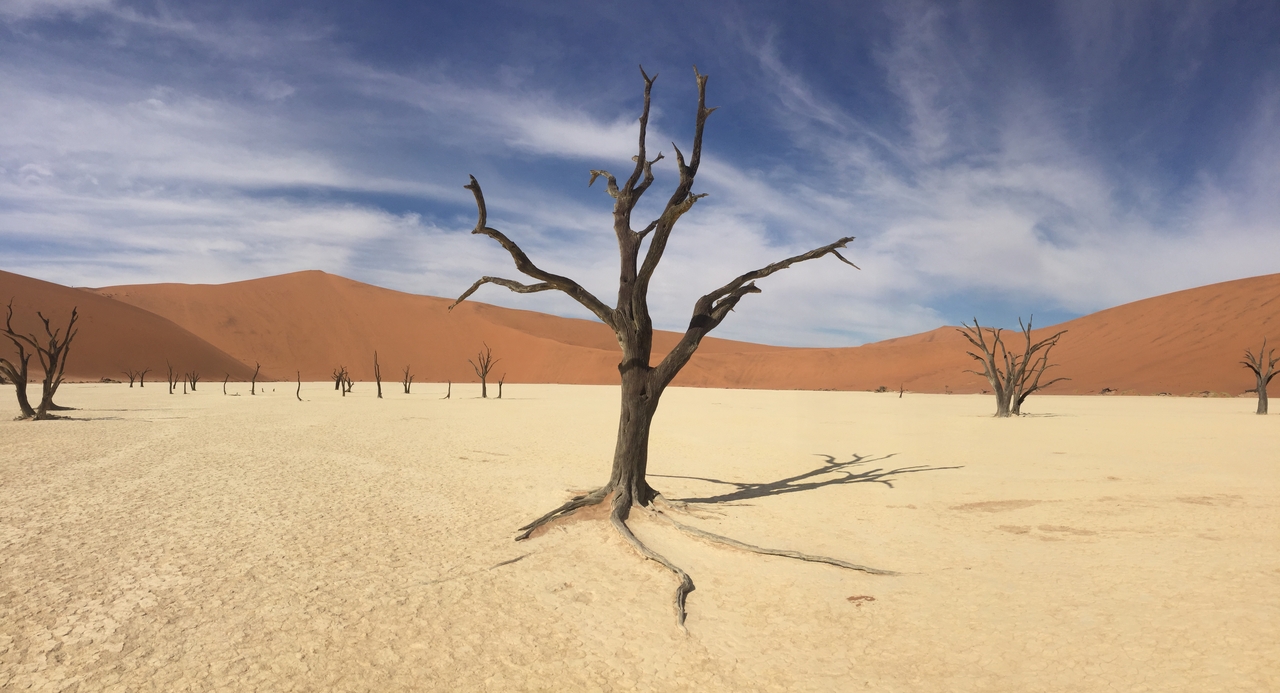 [16240] 2016_06_25_10_22_51_Africa_iPhone_6_IMG_8302_03199.jpg