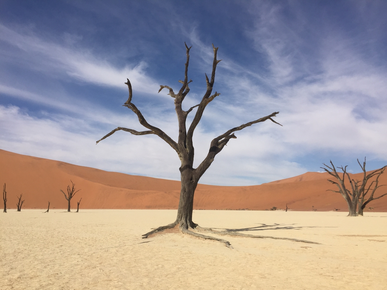 [16244] 2016_06_25_10_23_25_Africa_iPhone_6_IMG_8304_00278.jpg