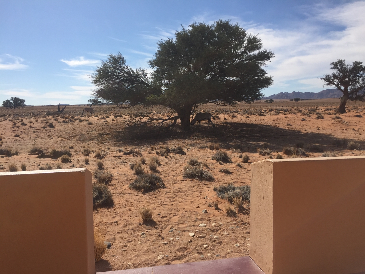 [16324] 2016_06_25_13_38_59_Africa_iPhone_6_IMG_8336_03227.jpg