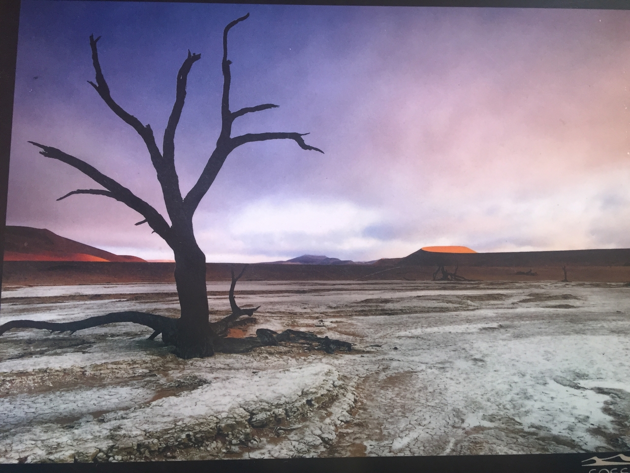 [16429] 2016_06_26_09_17_44_Africa_iPhone_6_IMG_8363_00911.jpg