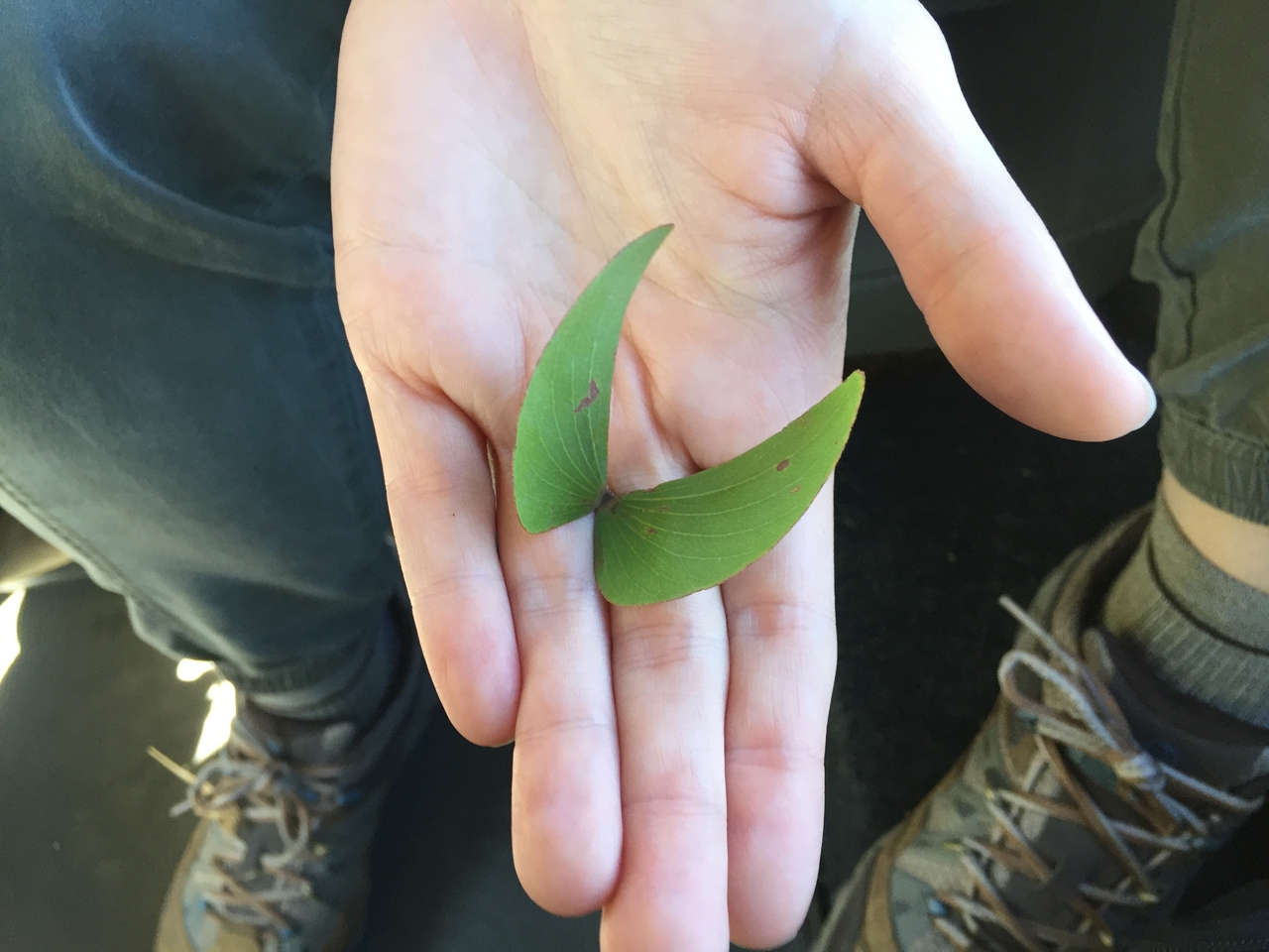 [17202] 2016_06_27_13_44_58_Africa_iPhone_6_IMG_8422_00380.jpg