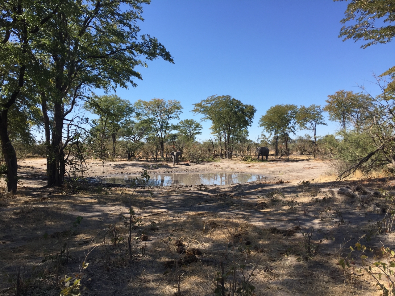 [17206] 2016_06_27_13_51_17_Africa_iPhone_6_IMG_8423_00963.jpg