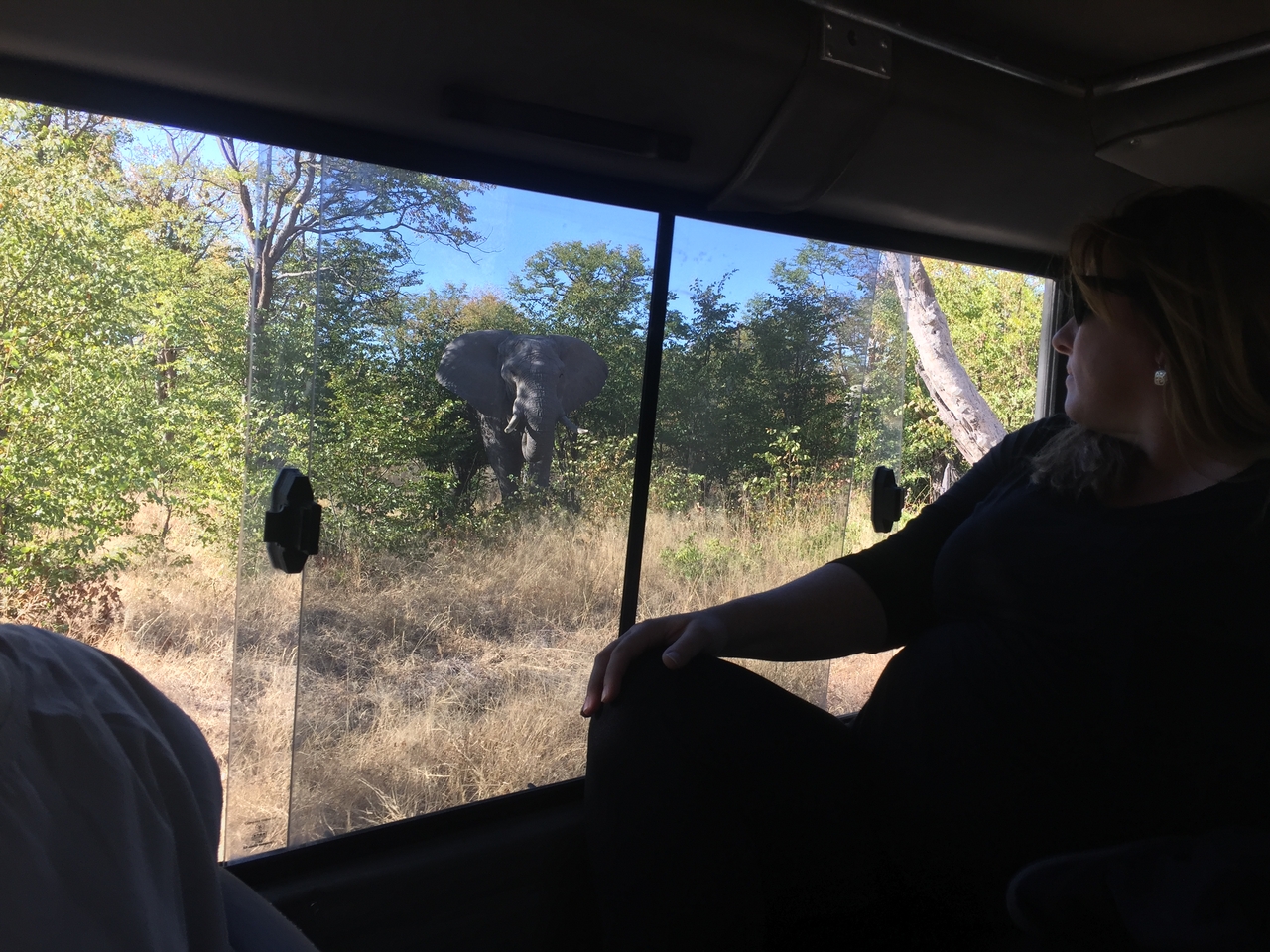 [17276] 2016_06_27_15_17_34_Africa_iPhone_6_IMG_8446_03327.jpg