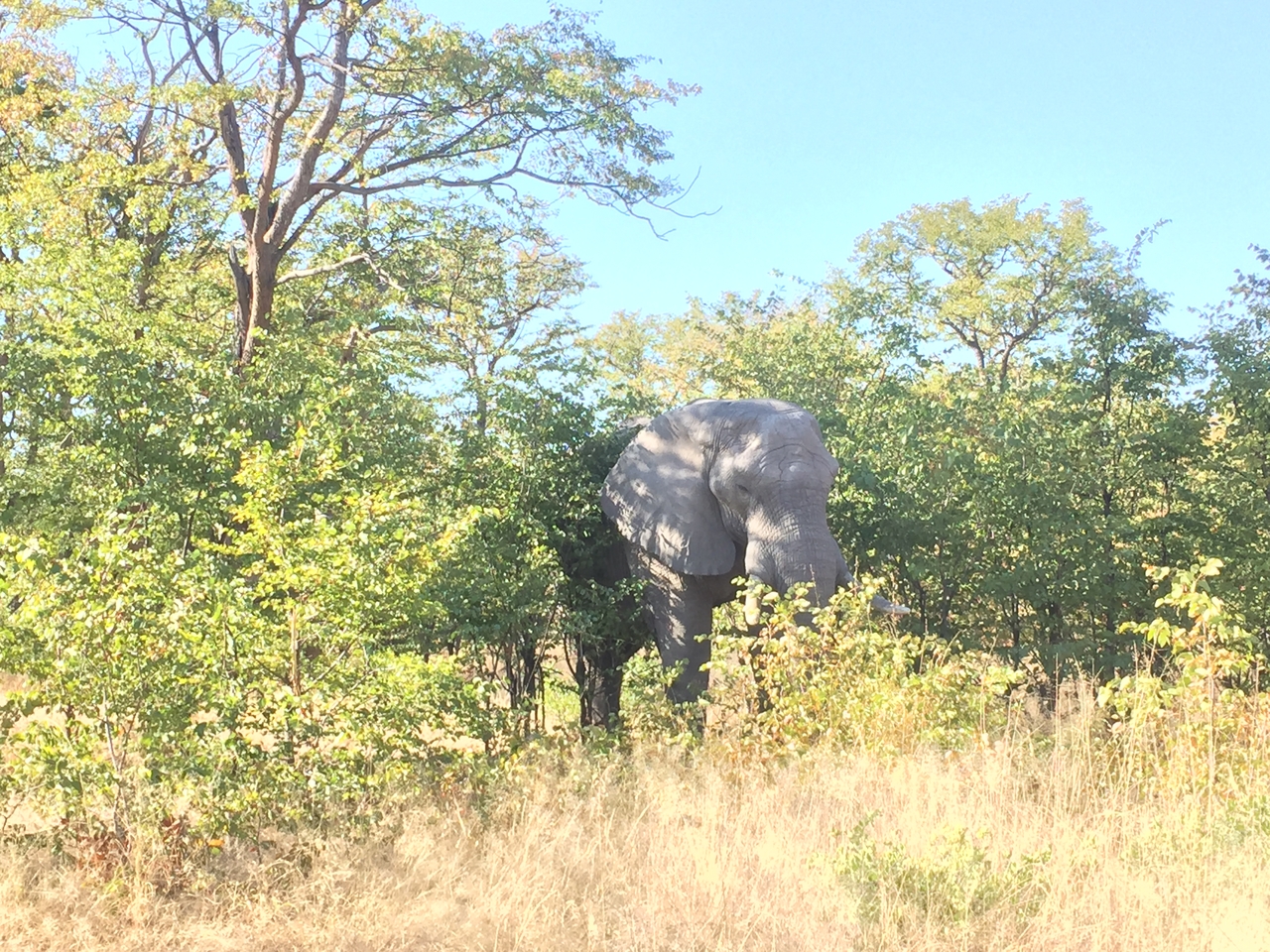 [17282] 2016_06_27_15_19_00_Africa_iPhone_6_IMG_8448_03329.jpg