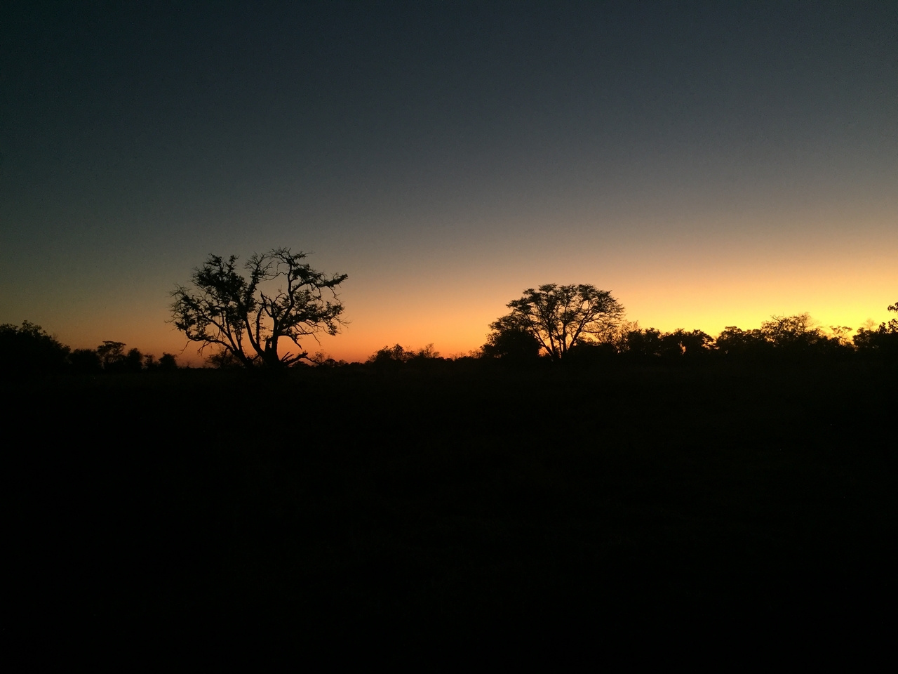 [17335] 2016_06_27_18_23_23_Africa_iPhone_6_IMG_8458_00998.jpg