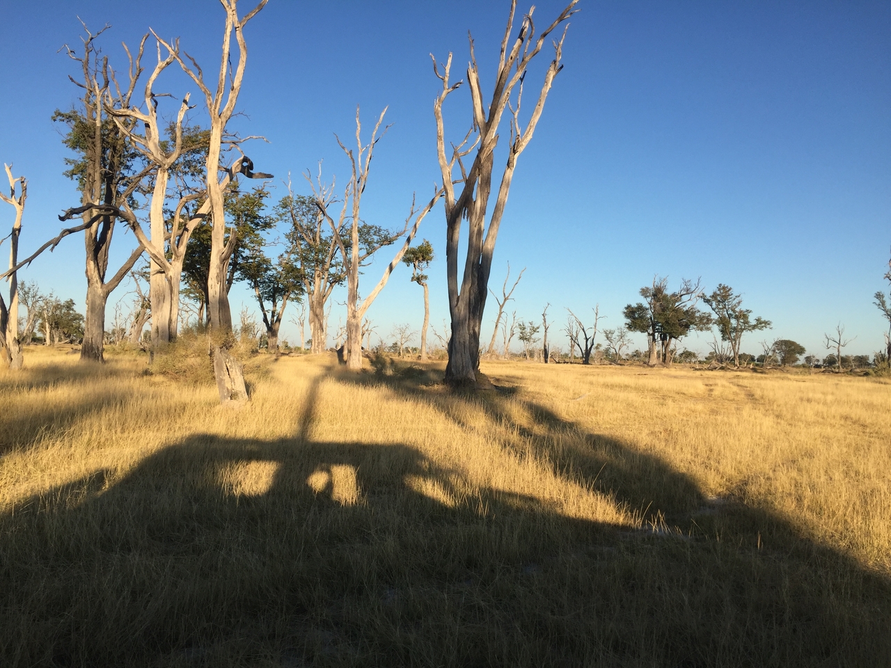 [19839] 2016_06_28_07_44_11_Africa_iPhone_6_IMG_8469_03350.jpg