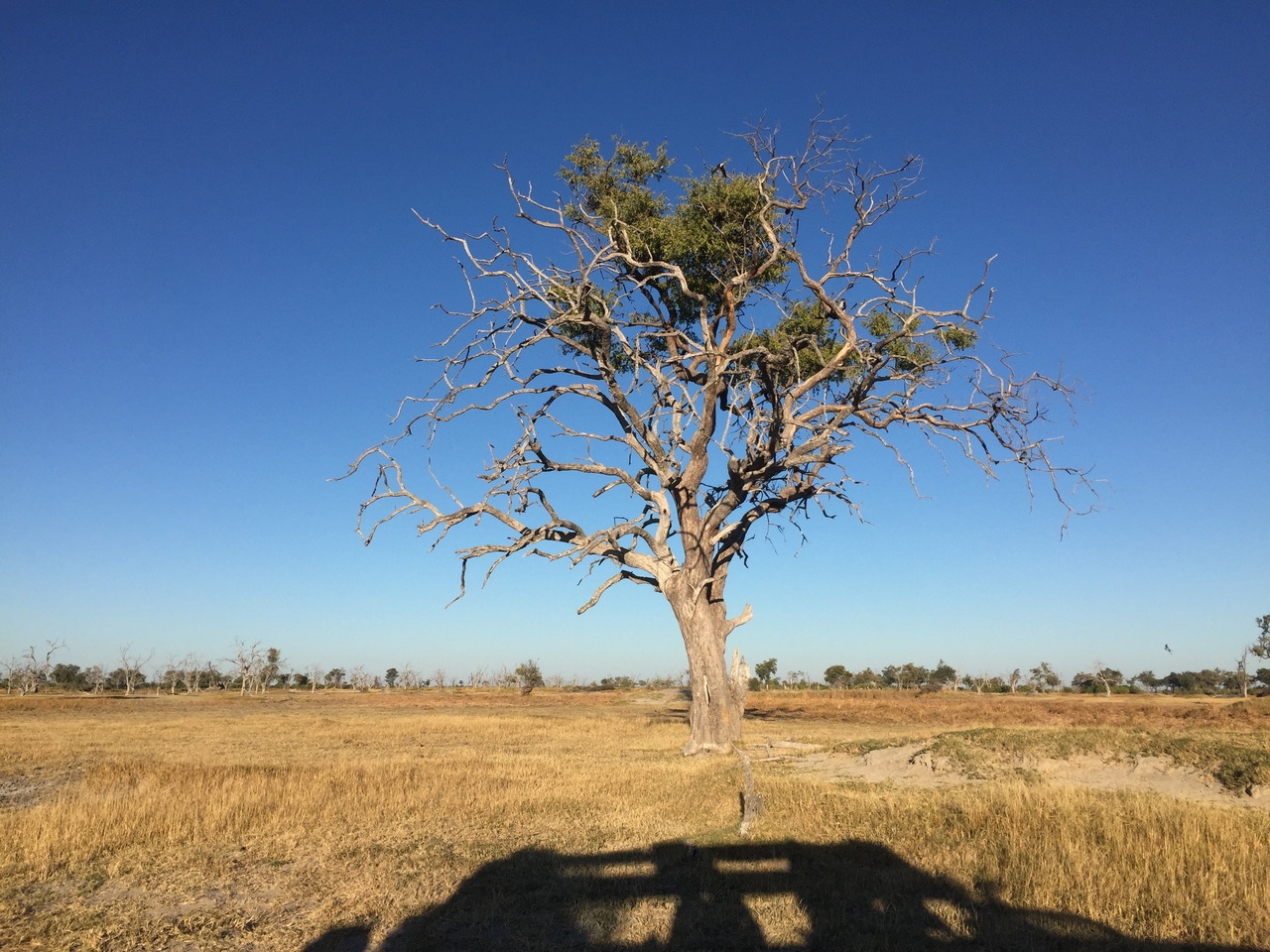 [19856] 2016_06_28_07_52_12_Africa_iPhone_6_IMG_8474_03355.jpg