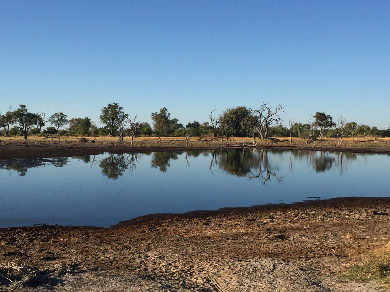 [19861] 2016_06_28_08_05_06_Africa_iPhone_6_IMG_8476_01016.jpg