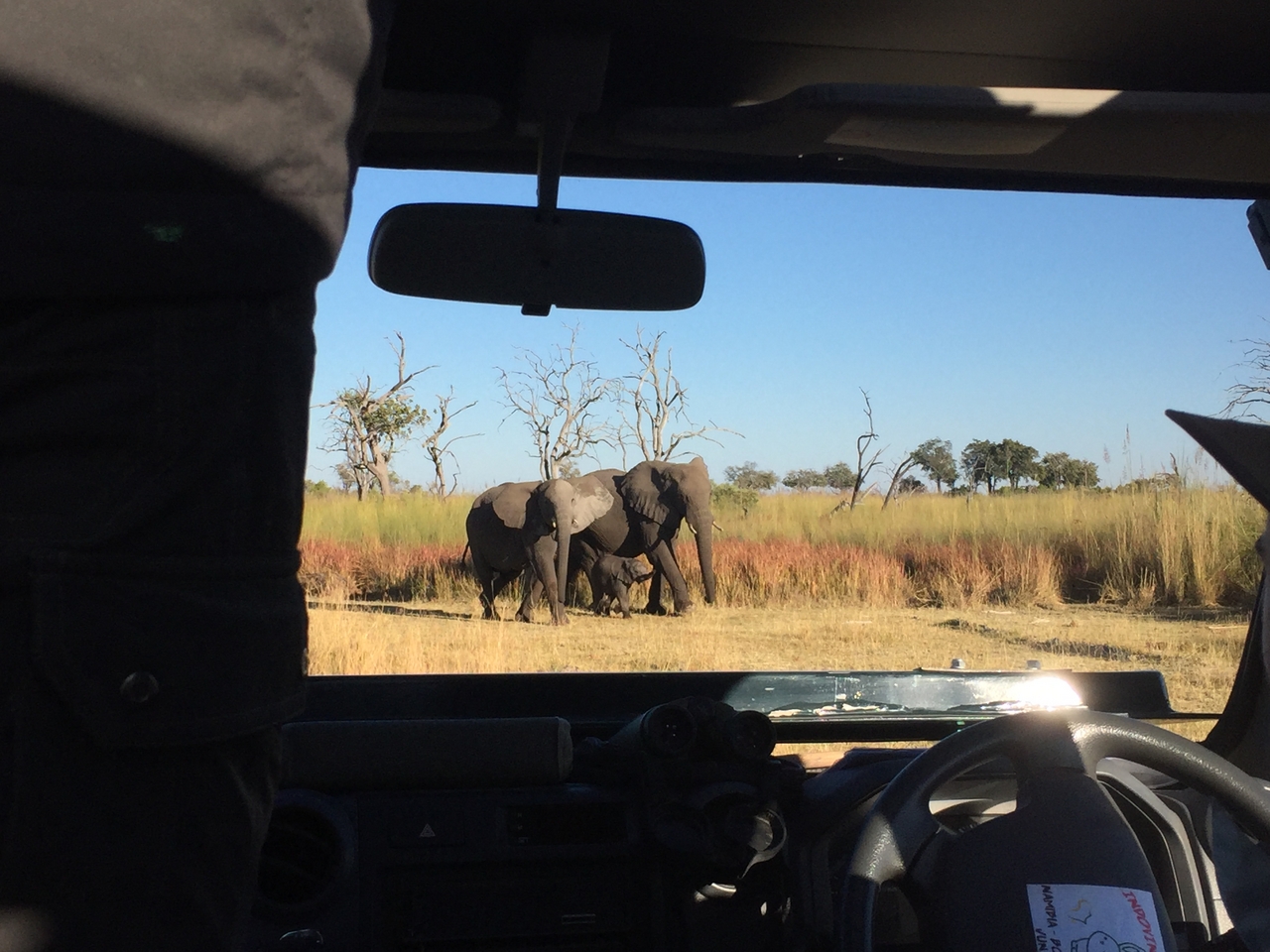 [19876] 2016_06_28_08_20_07_Africa_iPhone_6_IMG_8481_01021.jpg