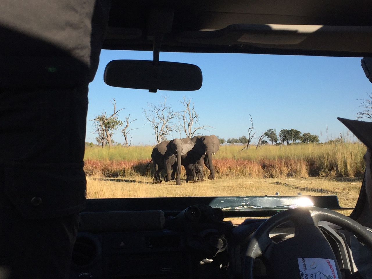 [19880] 2016_06_28_08_20_08_Africa_iPhone_6_IMG_8482_03363.jpg