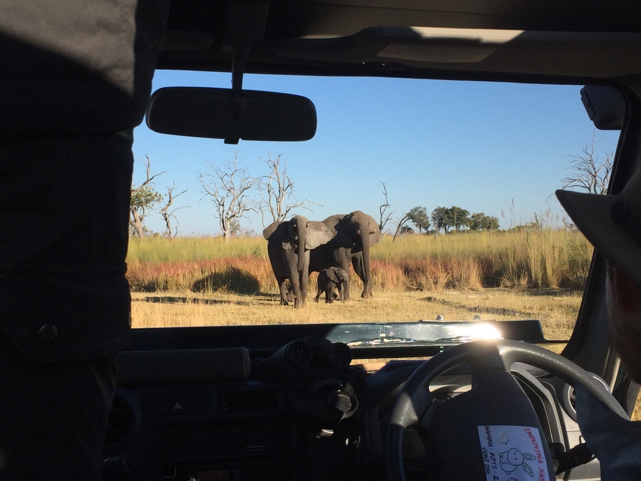 [19882] 2016_06_28_08_20_11_Africa_iPhone_6_IMG_8483_01023.jpg