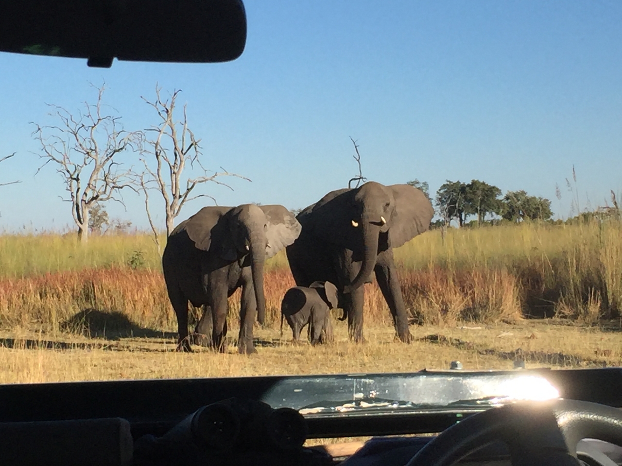 [19884] 2016_06_28_08_20_18_Africa_iPhone_6_IMG_8484_00442.jpg