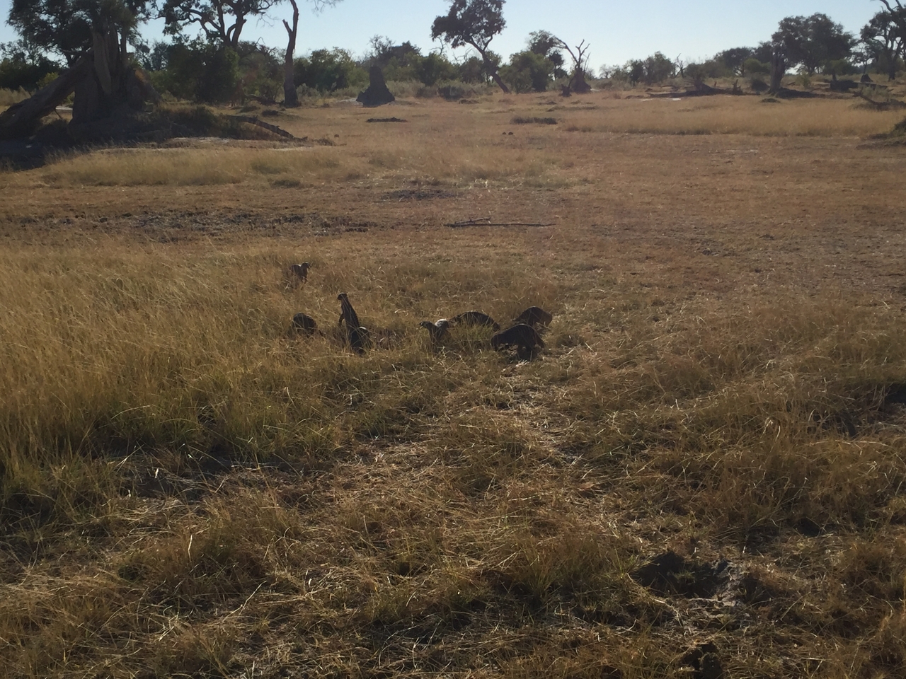 [19894] 2016_06_28_08_48_00_Africa_iPhone_6_IMG_8487_01027.jpg