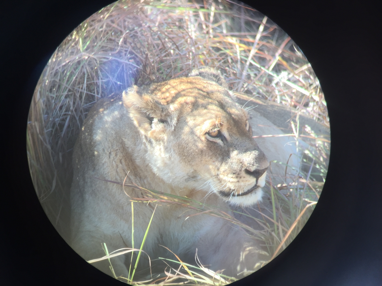 [19921] 2016_06_28_10_03_44_Africa_iPhone_6_IMG_8490_01030.jpg