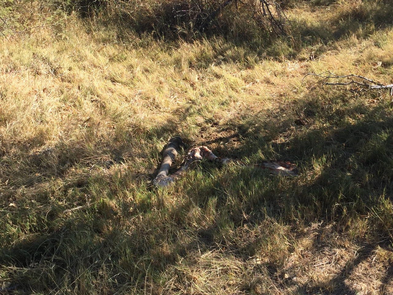 [19938] 2016_06_28_10_14_42_Africa_iPhone_6_IMG_8496_00454.jpg