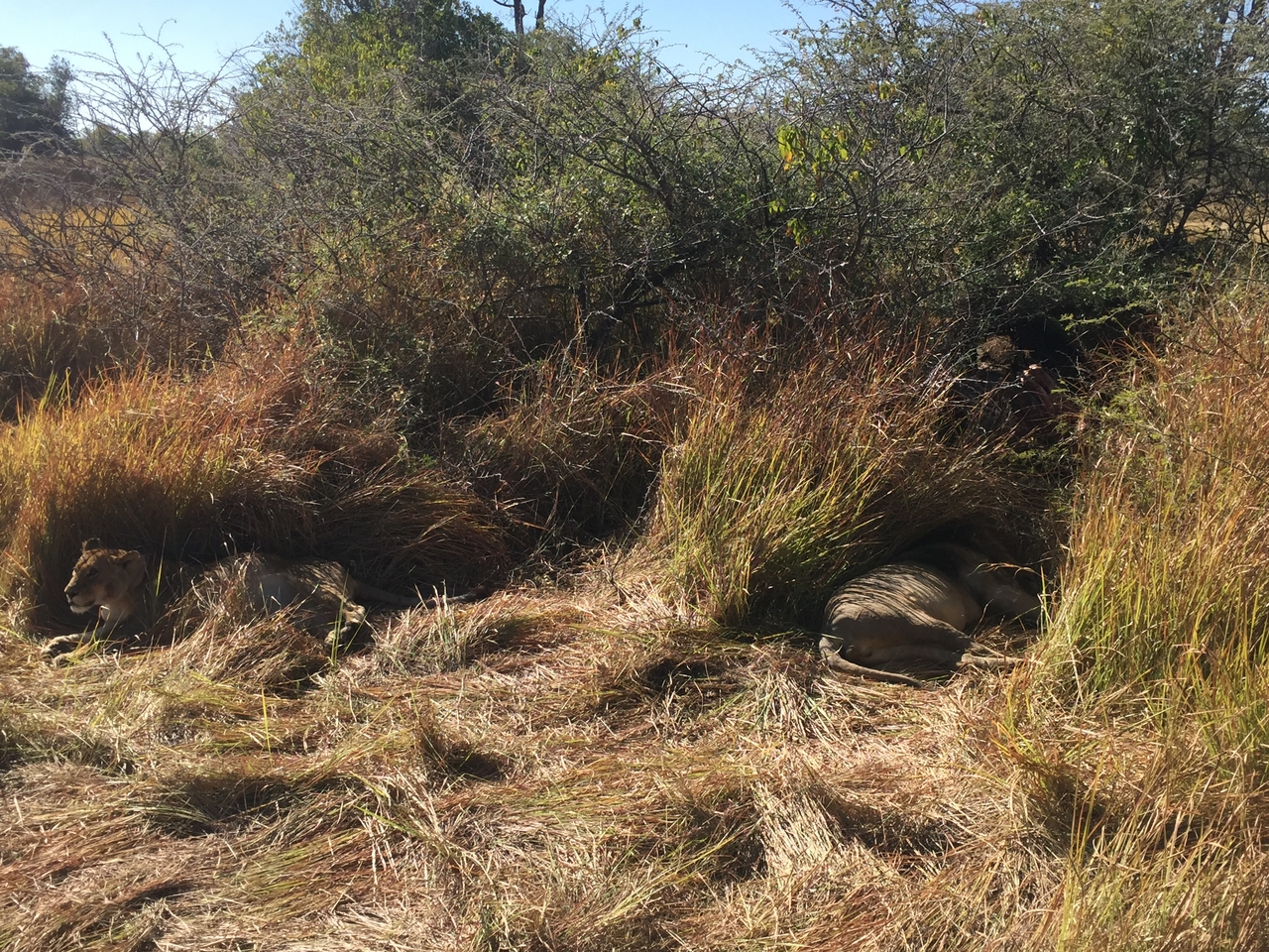 [19960] 2016_06_28_10_17_55_Africa_iPhone_6_IMG_8503_01043.jpg