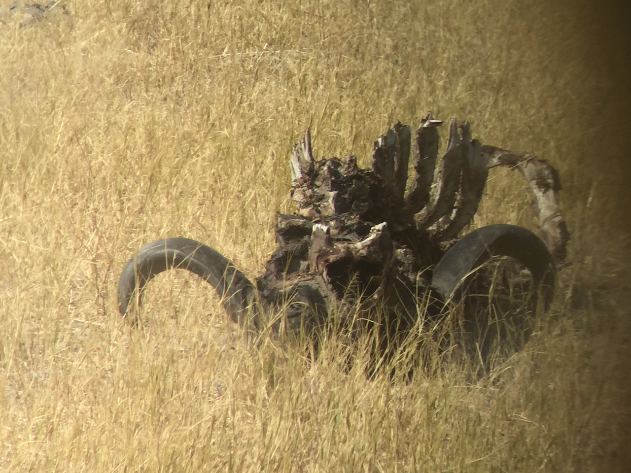 [20035] 2016_06_28_10_42_49_Africa_iPhone_6_IMG_8512_00466.jpg