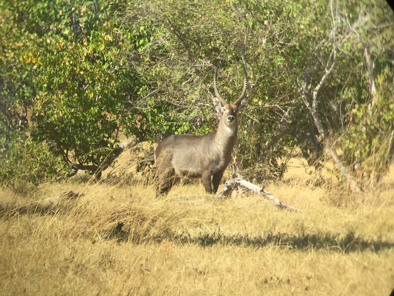 [20064] 2016_06_28_11_11_37_Africa_iPhone_6_IMG_8515_00469.jpg