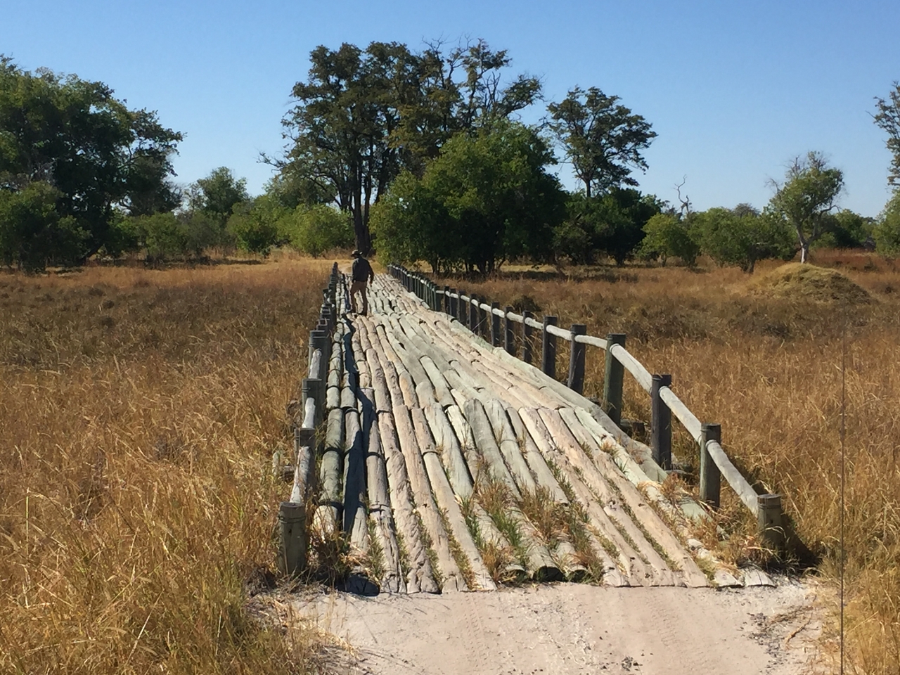 [20067] 2016_06_28_11_16_27_Africa_iPhone_6_IMG_8518_00470.jpg