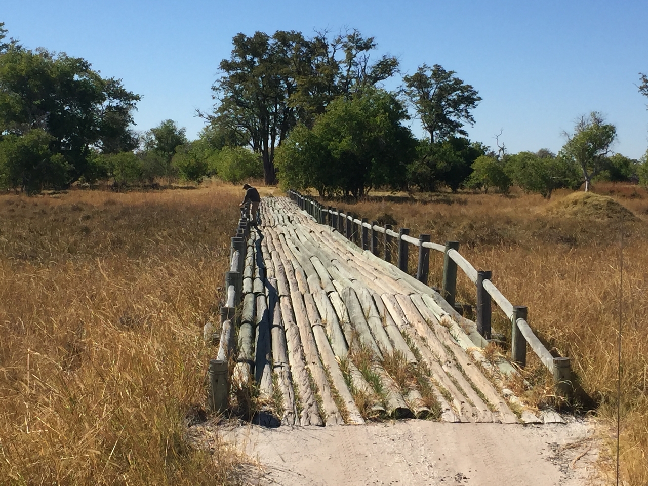 [20072] 2016_06_28_11_16_28_Africa_iPhone_6_IMG_8519_03394.jpg