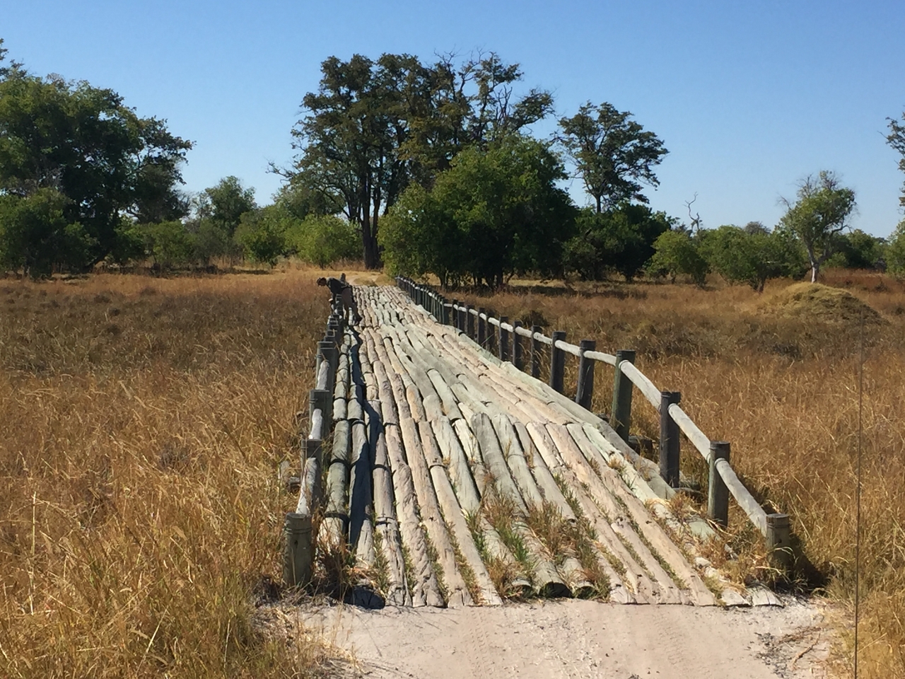 [20073] 2016_06_28_11_16_29_Africa_iPhone_6_IMG_8520_00472.jpg