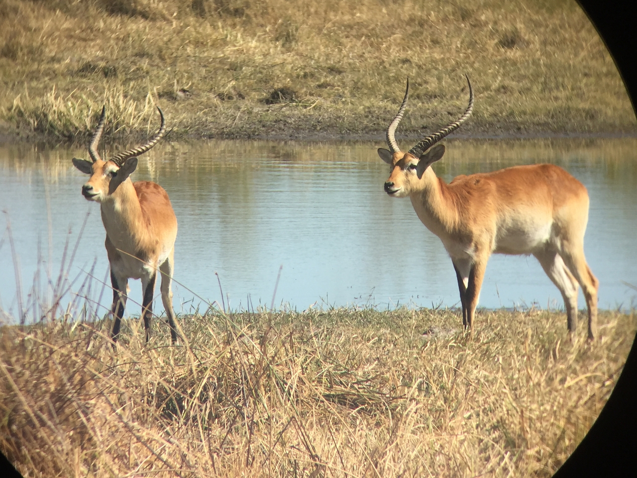 [20087] 2016_06_28_11_32_58_Africa_iPhone_6_IMG_8526_03399.jpg