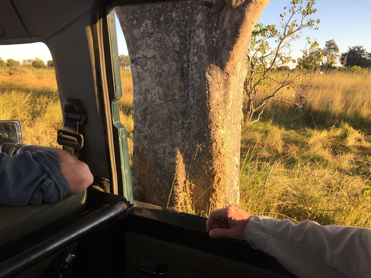 [20422] 2016_06_28_17_23_50_Africa_iPhone_6_IMG_8538_03410.jpg