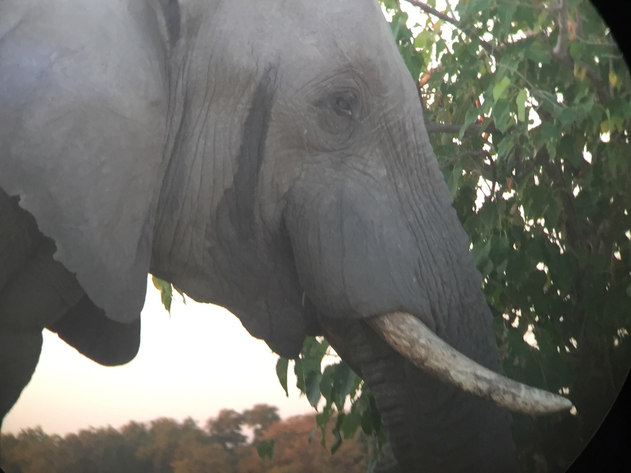 [20433] 2016_06_28_17_52_15_Africa_iPhone_6_IMG_8542_01073.jpg