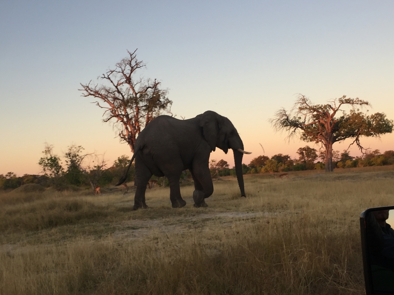 [20435] 2016_06_28_17_52_54_Africa_iPhone_6_IMG_8543_00492.jpg
