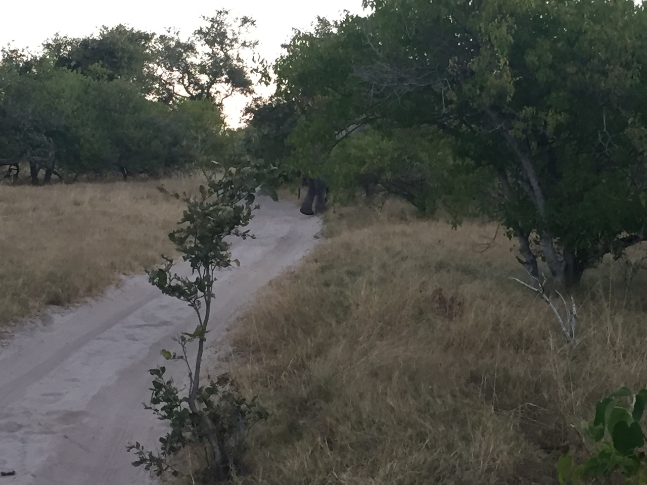 [20446] 2016_06_28_18_00_49_Africa_iPhone_6_IMG_8546_00495.jpg