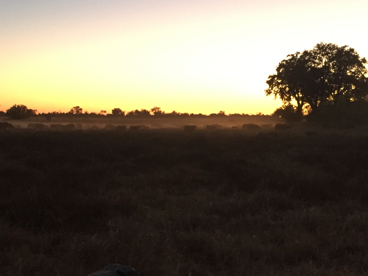 [20456] 2016_06_28_18_21_19_Africa_iPhone_6_IMG_8548_01079.jpg