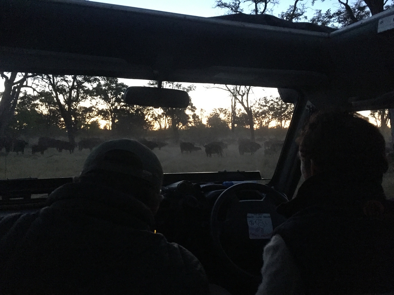 [20462] 2016_06_28_18_24_35_Africa_iPhone_6_IMG_8549_00498.jpg