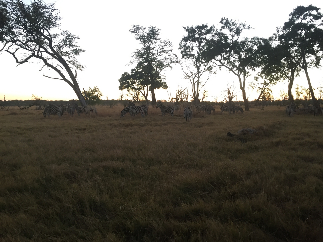 [21284] 2016_06_29_06_48_30_Africa_iPhone_6_IMG_8550_03422.jpg